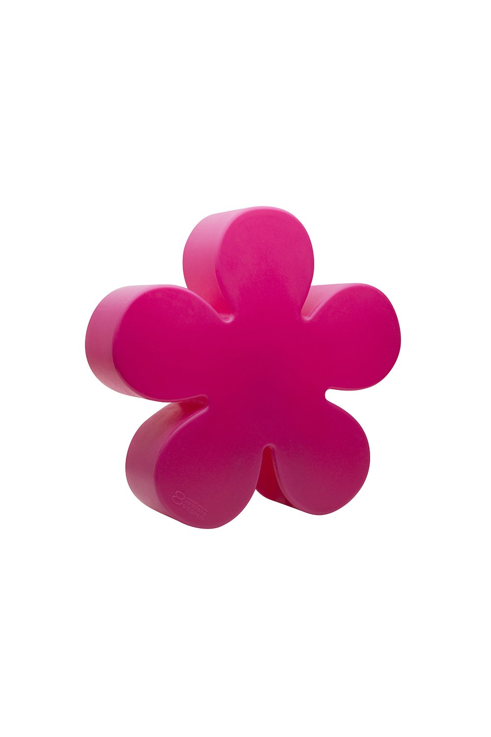 Shining Flower Shining Flower
