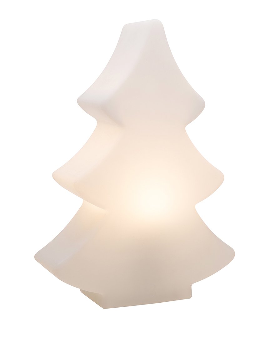 Shining Tree Shining Tree