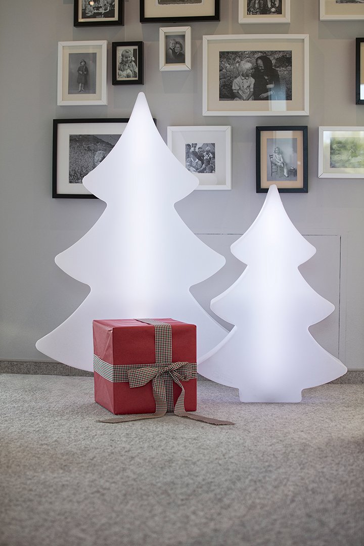 Shining Tree Shining Tree