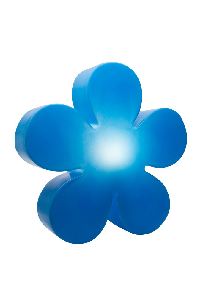 Shining Flower Shining Flower