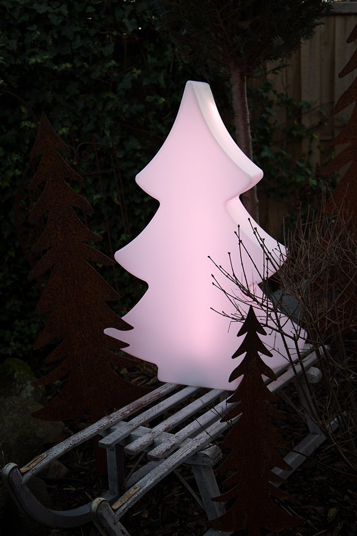 Shining Tree Shining Tree