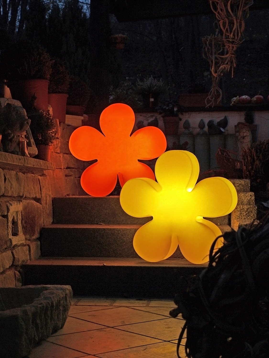 Shining Flower Shining Flower